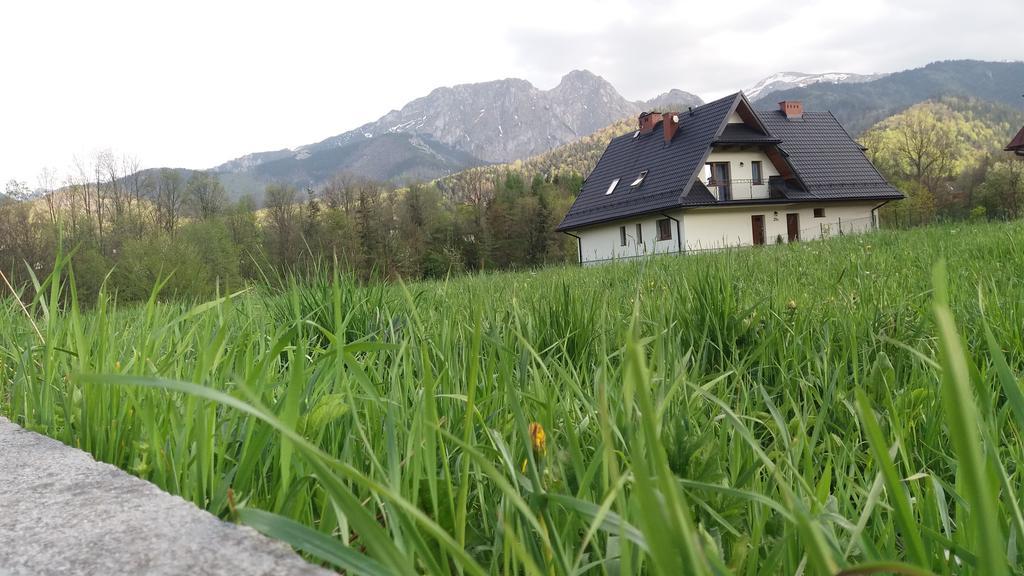 Willa W Dolinie Cichej Wody Zakopane Buitenkant foto